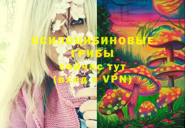 прущая мука Володарск