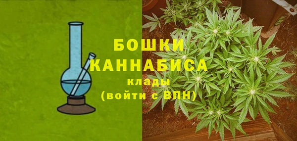 PSILOCYBIN Волоколамск
