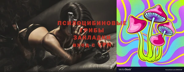 PSILOCYBIN Волоколамск
