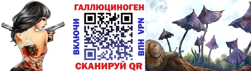 Псилоцибиновые грибы Psilocybe  hydra зеркало  Рубцовск 